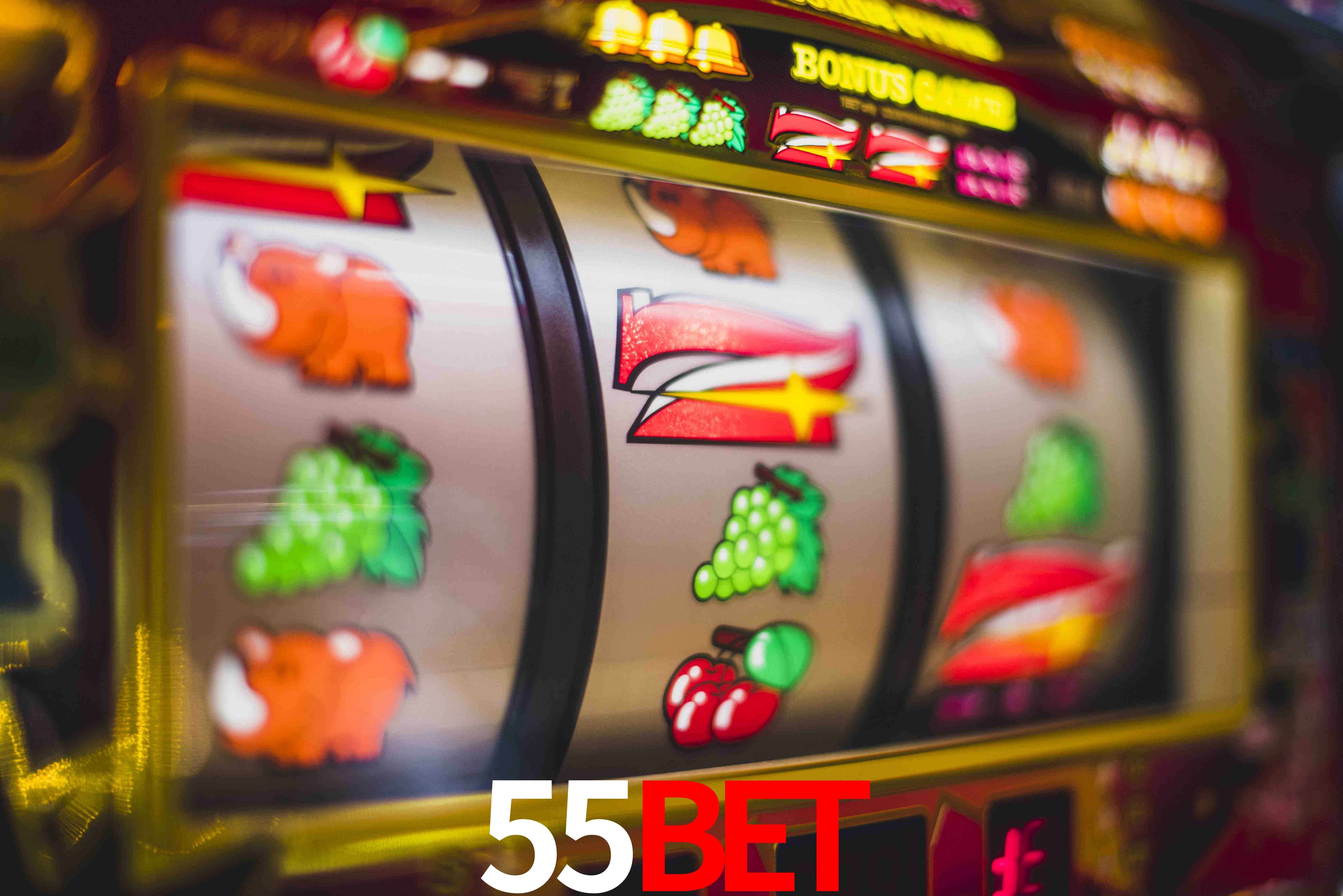 Basketball Betting 55bet